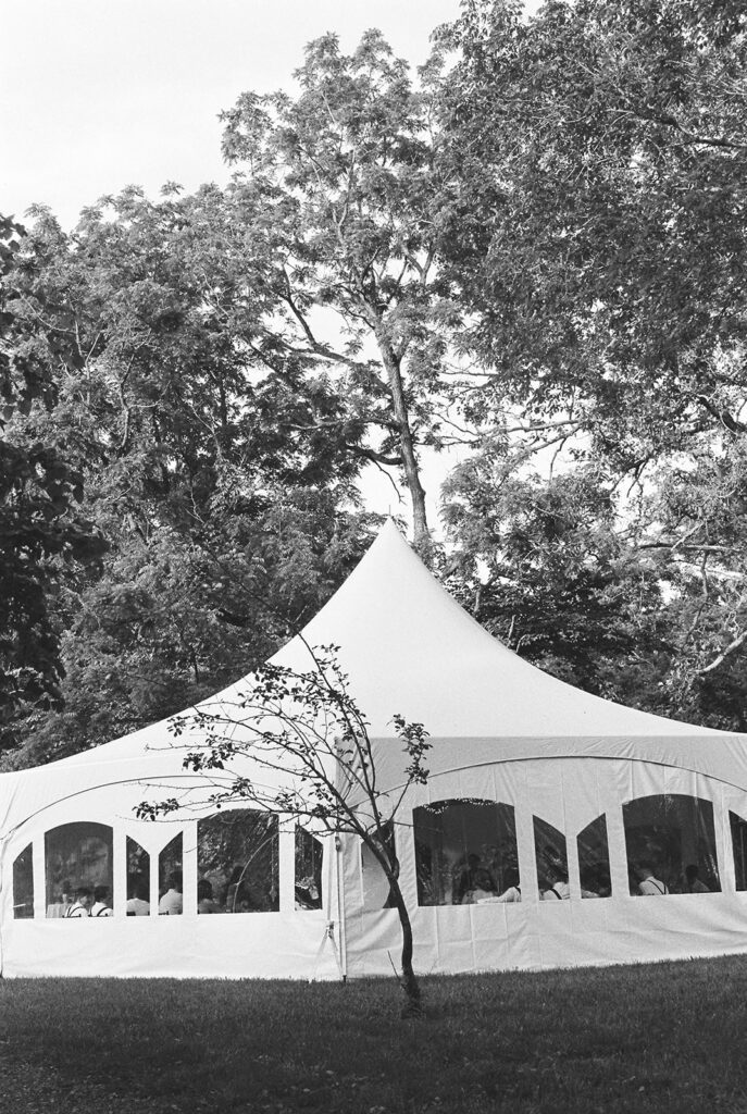 Backyard Wedding Photographer Joplin, Missouri