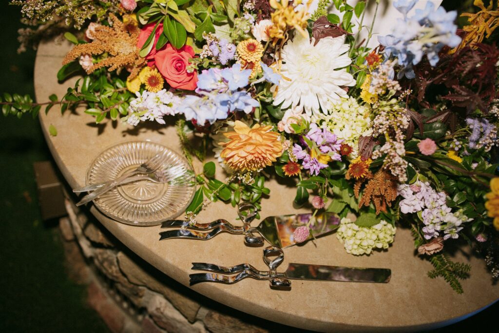 Backyard Wedding Photographer Joplin, Missouri