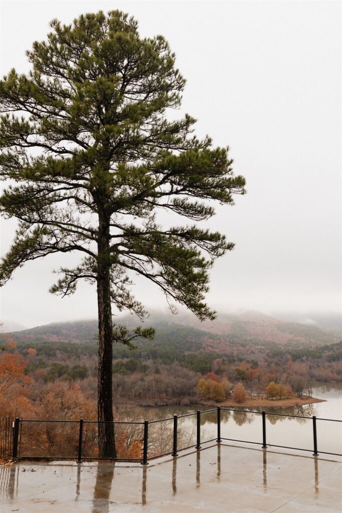 Best wedding venues in northwest arkansas