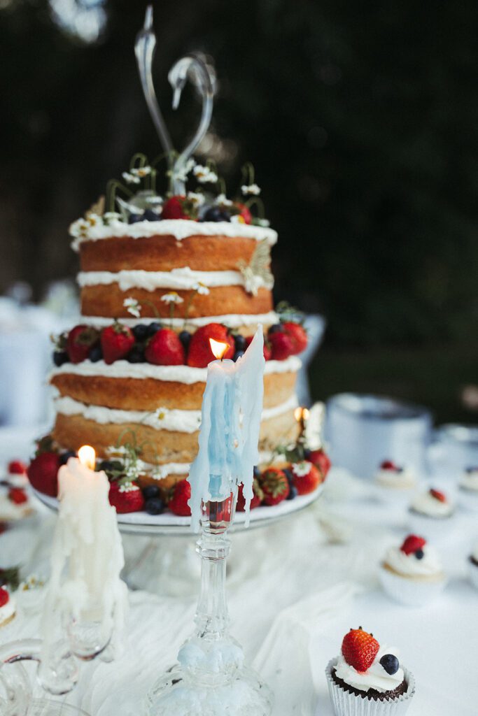 Backyard Wedding Photographer Joplin, Missouri