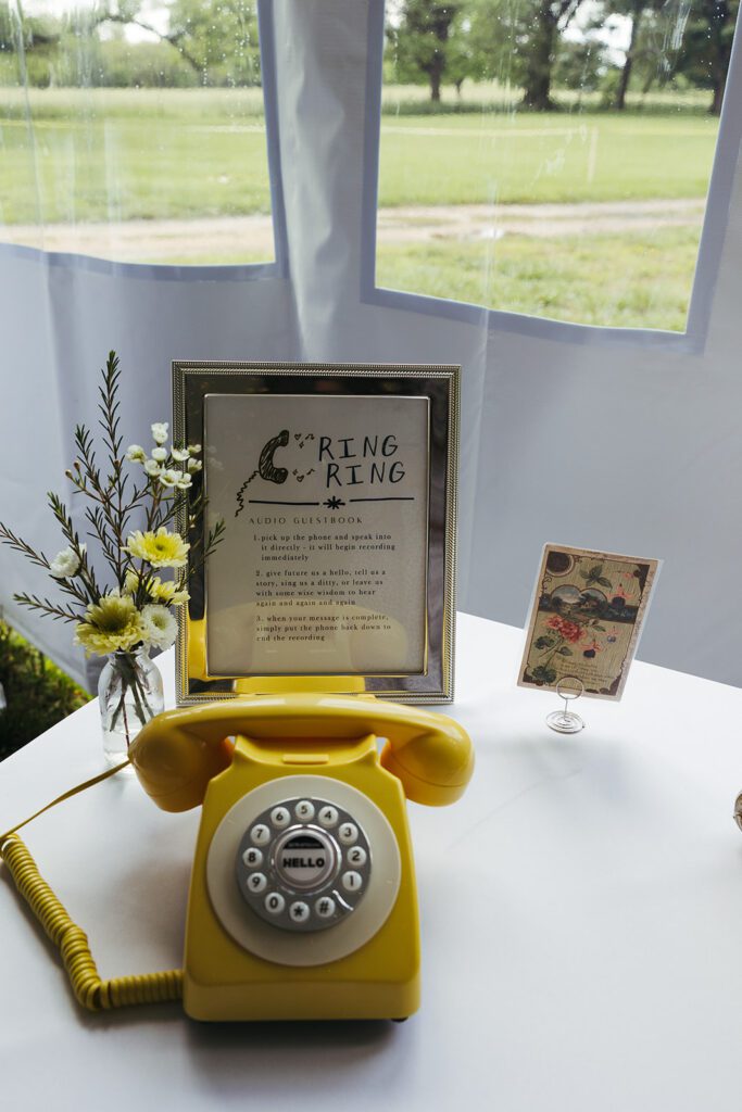 Backyard Wedding Photographer Joplin, Missouri