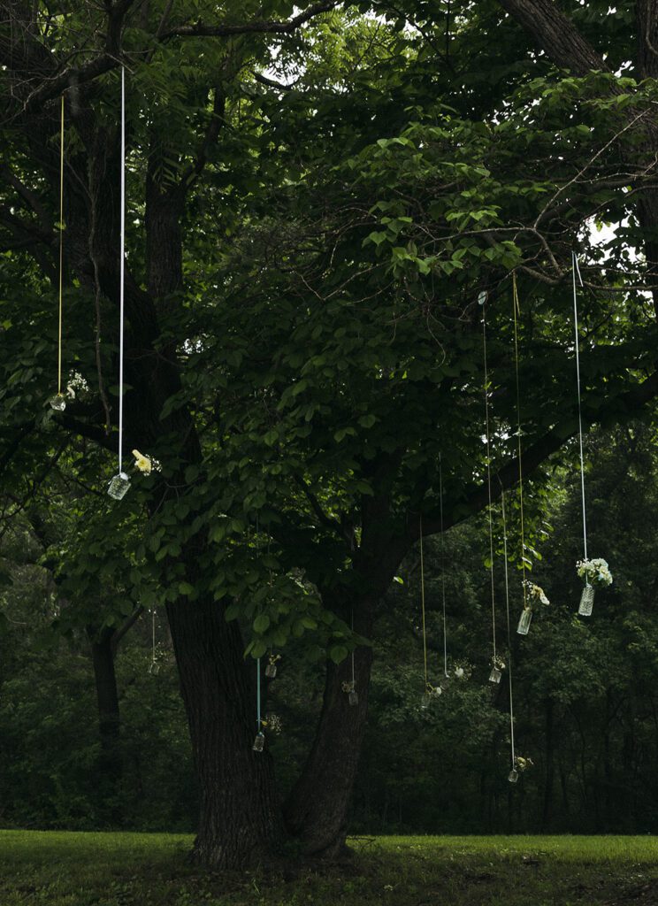 Backyard Wedding Photographer Joplin, Missouri